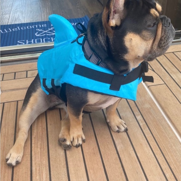 Meet your Posher, Stephanie ๐๐ - Picture 9 of 10